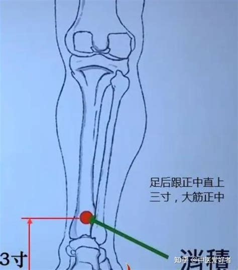 消積穴|诊断体内的积聚、痞块的经外奇穴——消积穴